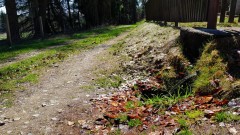 Tekoucí studánka 